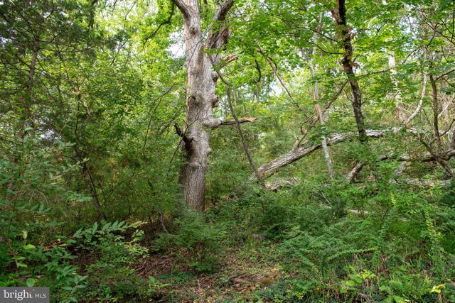 78 VALLEY VIEW RD, Lost City, WV 26810