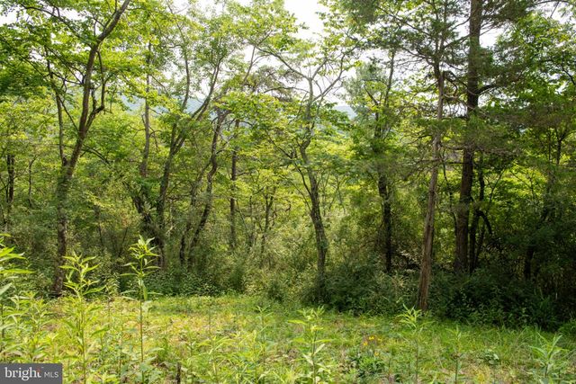 78 VALLEY VIEW RD, Lost City, WV 26810