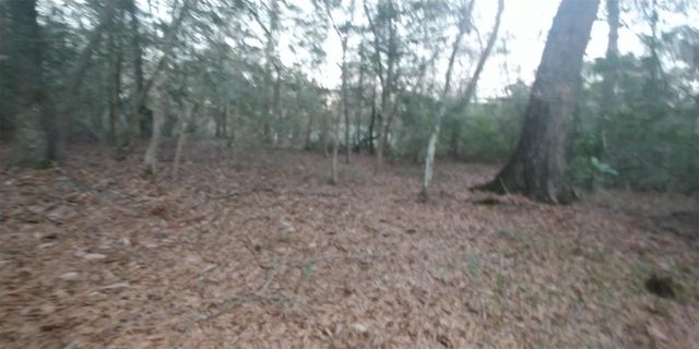 Tbd Mockingbird Hill Hill, Conroe, TX 77303