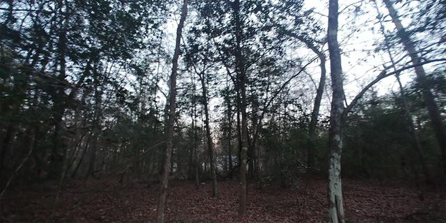 Tbd Mockingbird Hill Hill, Conroe, TX 77303
