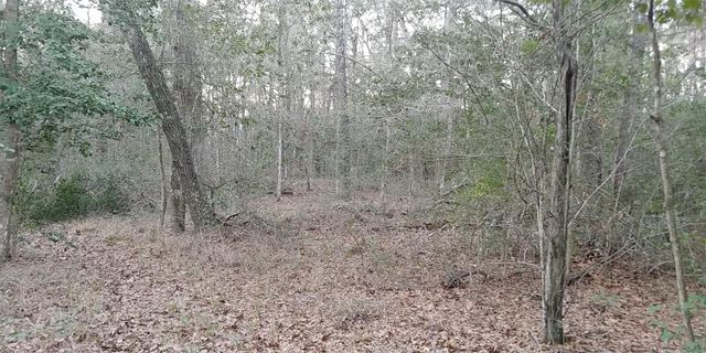 Tbd Mockingbird Hill Hill, Conroe, TX 77303