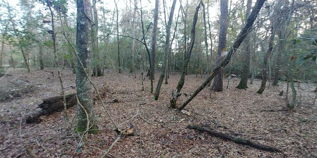 Tbd Mockingbird Hill Hill, Conroe, TX 77303
