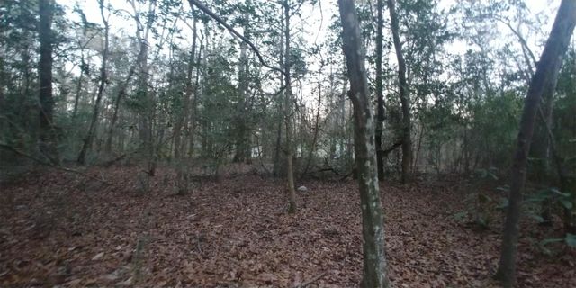 Tbd Mockingbird Hill Hill, Conroe, TX 77303