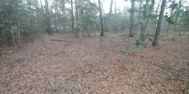 Tbd Mockingbird Hill Hill, Conroe, TX 77303
