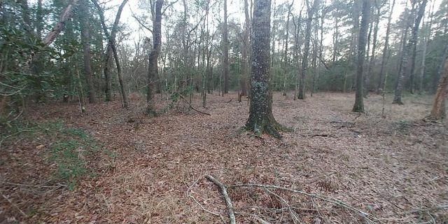 Tbd Mockingbird Hill Hill, Conroe, TX 77303