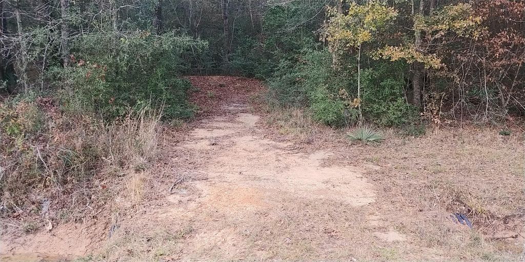 Tbd Mockingbird Hill Hill, Conroe, TX 77303