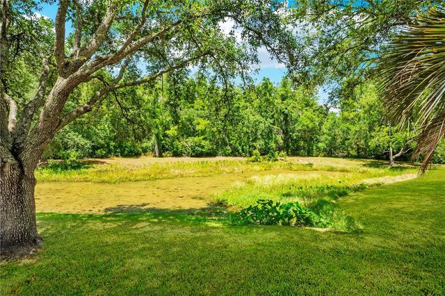 11230 ELMFIELD DRIVE, Tampa, FL 33625