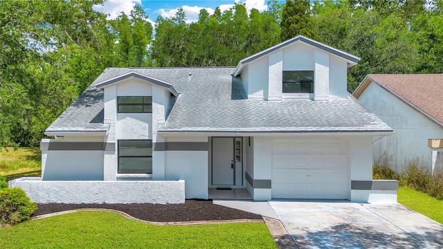 11230 ELMFIELD DRIVE, Tampa, FL 33625