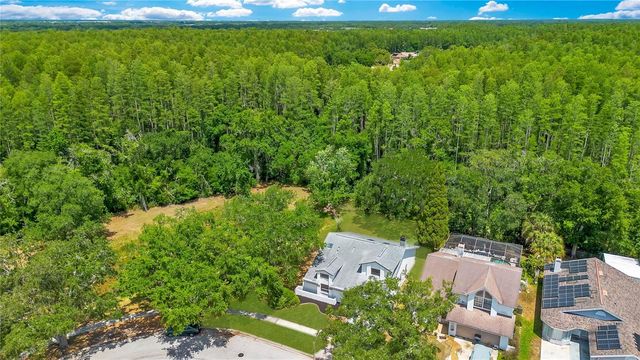 11230 ELMFIELD DRIVE, Tampa, FL 33625