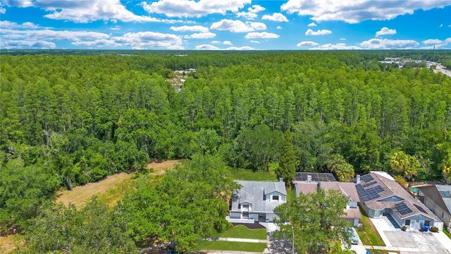 11230 ELMFIELD DRIVE, Tampa, FL 33625