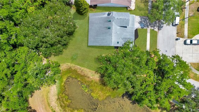 11230 ELMFIELD DRIVE, Tampa, FL 33625