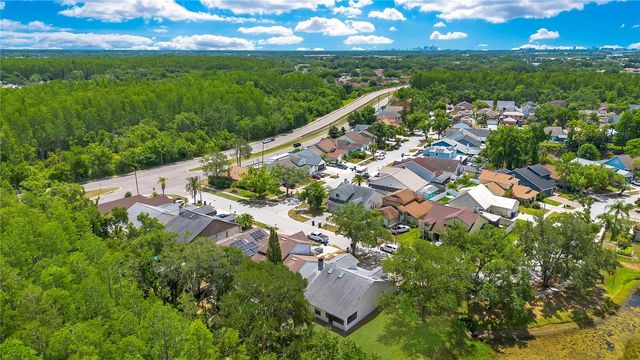 11230 ELMFIELD DRIVE, Tampa, FL 33625