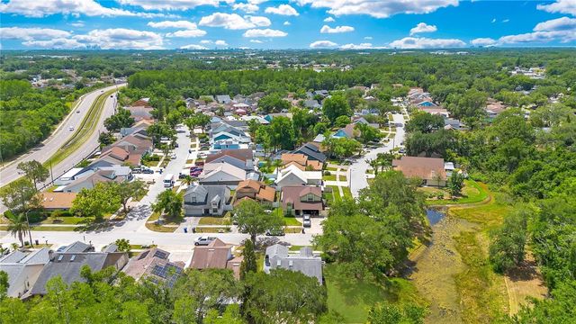 11230 ELMFIELD DRIVE, Tampa, FL 33625
