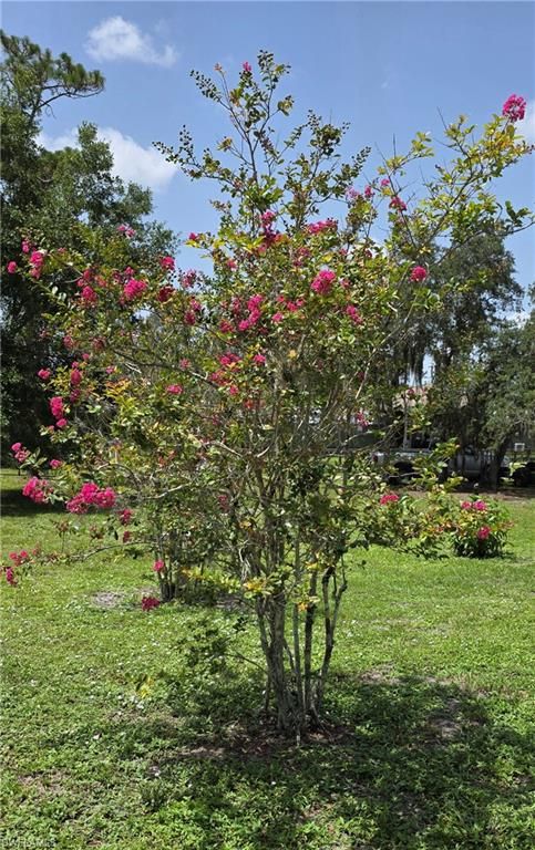 1627 Sunset TRL, LABELLE, FL 33935 — photo 3