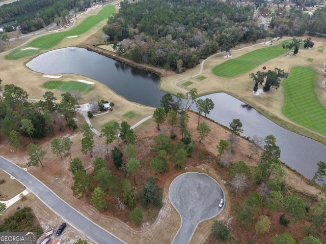 LOT 30 Blue Heron Trail, Waverly, GA 31565