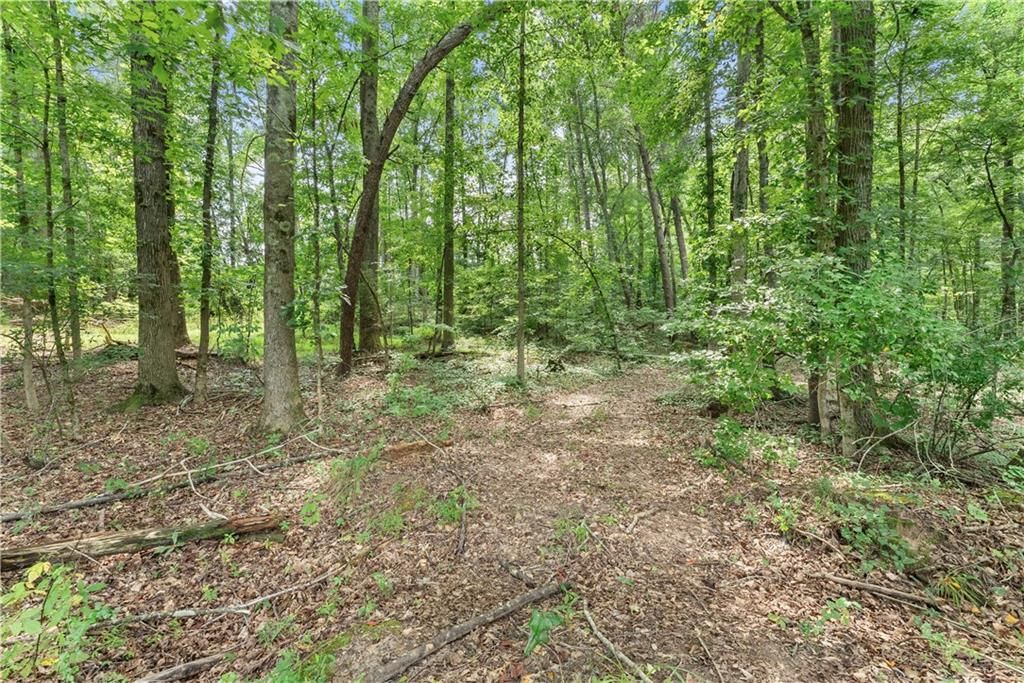 Image 13 of property listing at 0 Jackson Trail Road, Hoschton, GA 30548