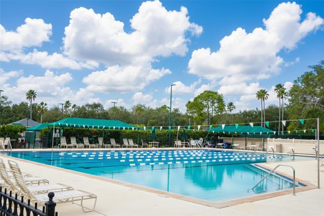 10144 ARBOR RUN DRIVE 31, Tampa, FL 33647