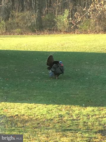 800 KENDALE RD, Red Lion, PA 17356