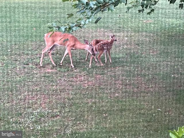 800 KENDALE RD, Red Lion, PA 17356