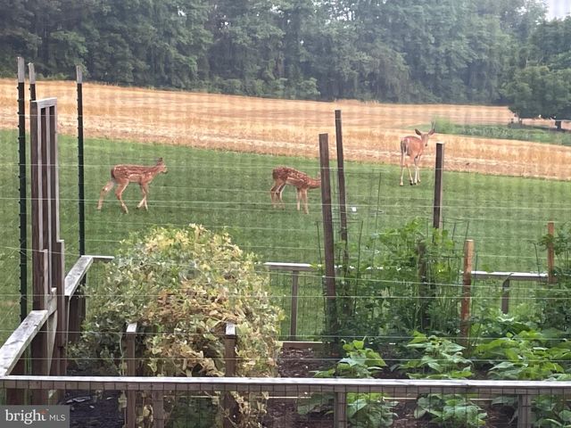 800 KENDALE RD, Red Lion, PA 17356