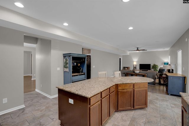 181 Palm Street, Chapin, SC 29036