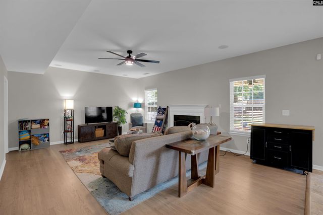 181 Palm Street, Chapin, SC 29036