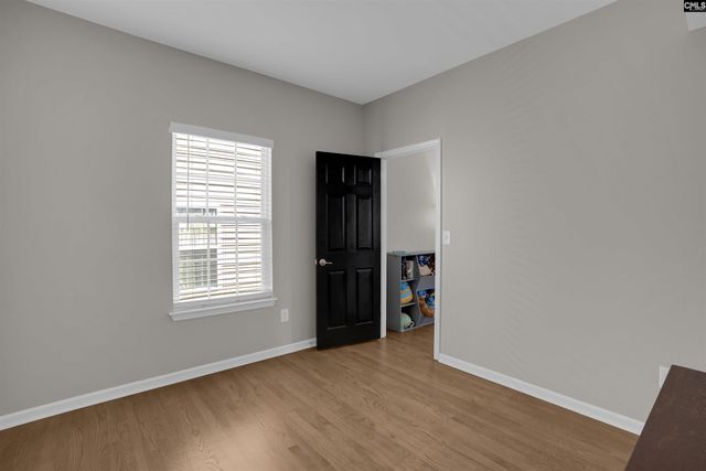 181 Palm Street, Chapin, SC 29036