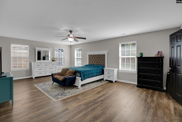 181 Palm Street, Chapin, SC 29036