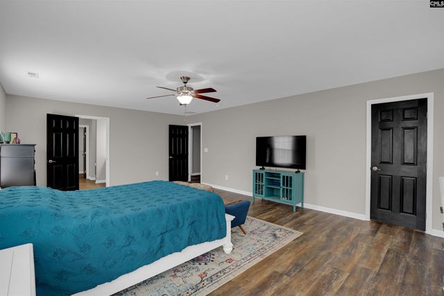 181 Palm Street, Chapin, SC 29036