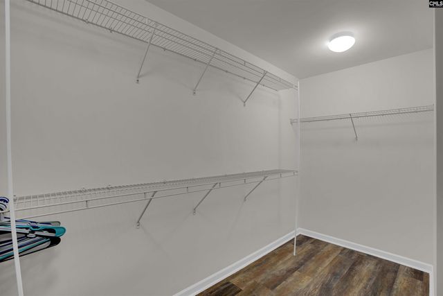 181 Palm Street, Chapin, SC 29036