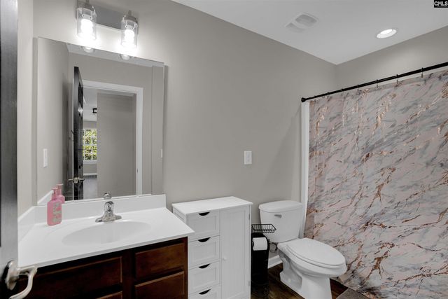 181 Palm Street, Chapin, SC 29036