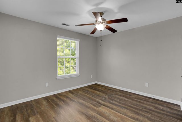 181 Palm Street, Chapin, SC 29036
