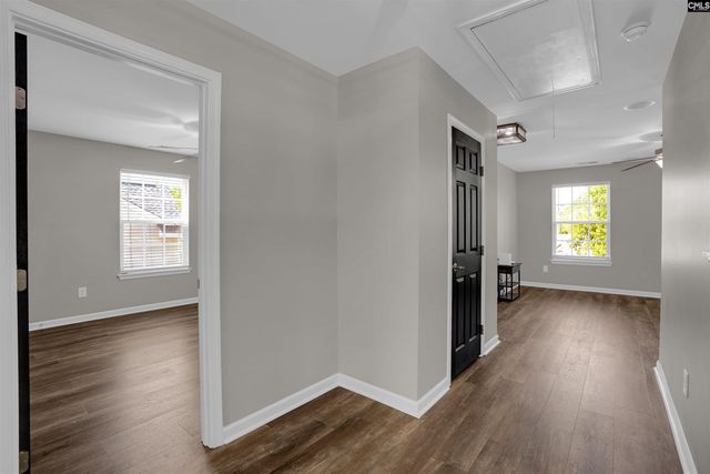 181 Palm Street, Chapin, SC 29036