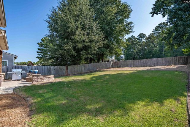 181 Palm Street, Chapin, SC 29036
