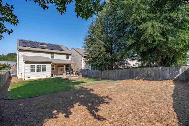 181 Palm Street, Chapin, SC 29036