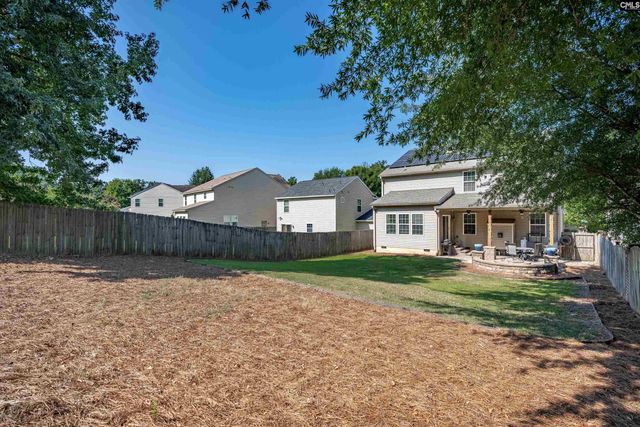 181 Palm Street, Chapin, SC 29036