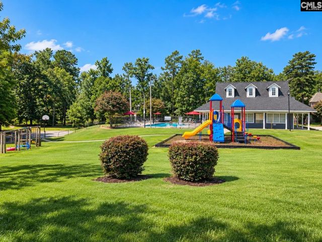 181 Palm Street, Chapin, SC 29036