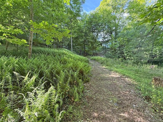 11 Nordic Drive, Woodstock, NY 12498