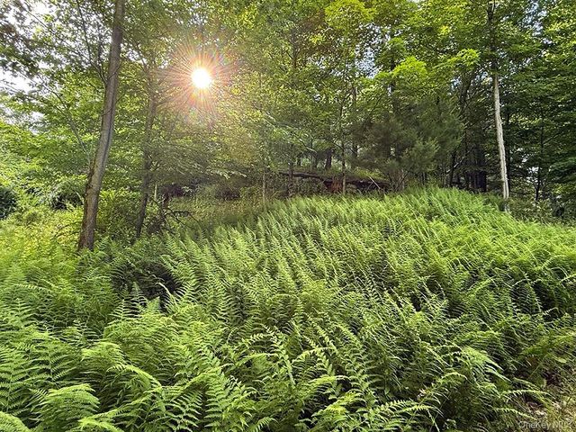 11 Nordic Drive, Woodstock, NY 12498