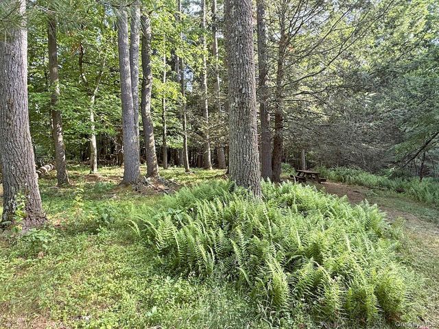11 Nordic Drive, Woodstock, NY 12498