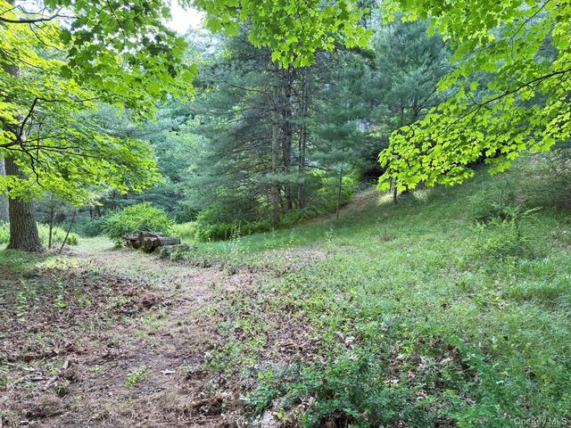 11 Nordic Drive, Woodstock, NY 12498