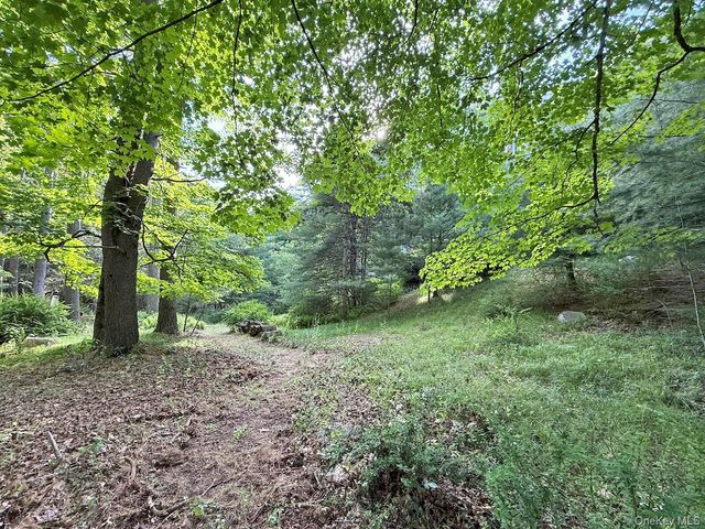 11 Nordic Drive, Woodstock, NY 12498