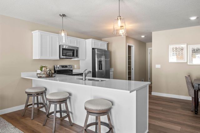 27270 Pete's Hill Trail, Elko New Market, MN 55020