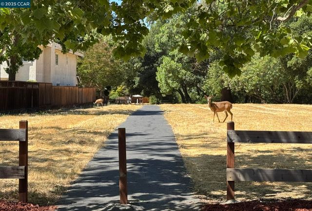 320 Deepcreek Ct, Danville, CA 94506