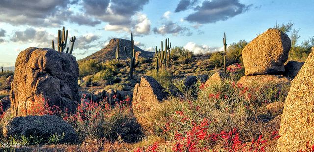 11331 E Dale Lane, Scottsdale, AZ 85262