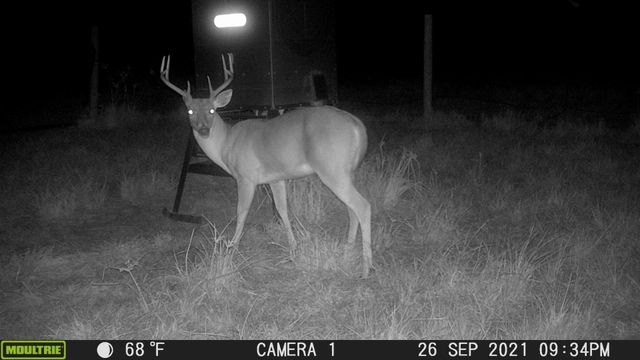 955 County Road 385, Palacios, TX 77465