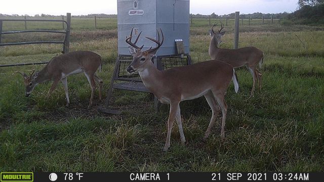 955 County Road 385, Palacios, TX 77465