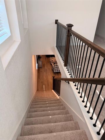 3223 Field Thistle, New Braunfels, TX 78130