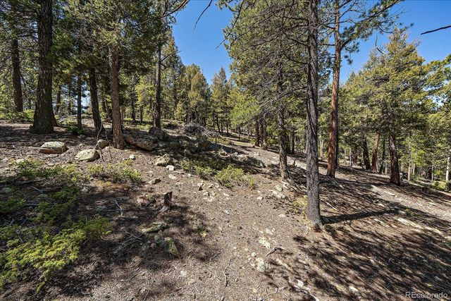 000 Pike View Drive, Conifer, CO 80433