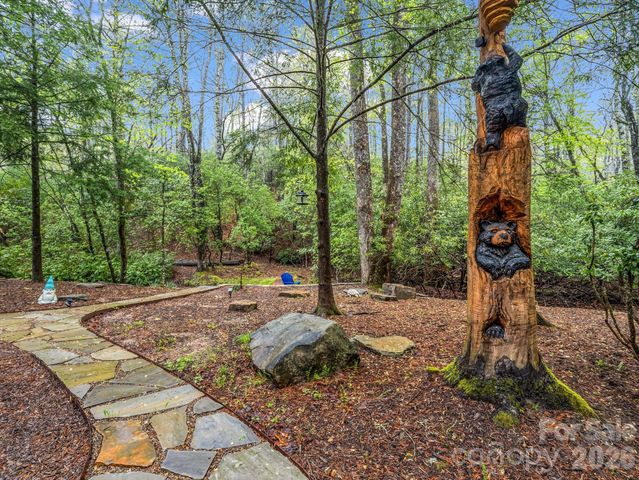 1040 Soquili Drive, Brevard, NC 28712